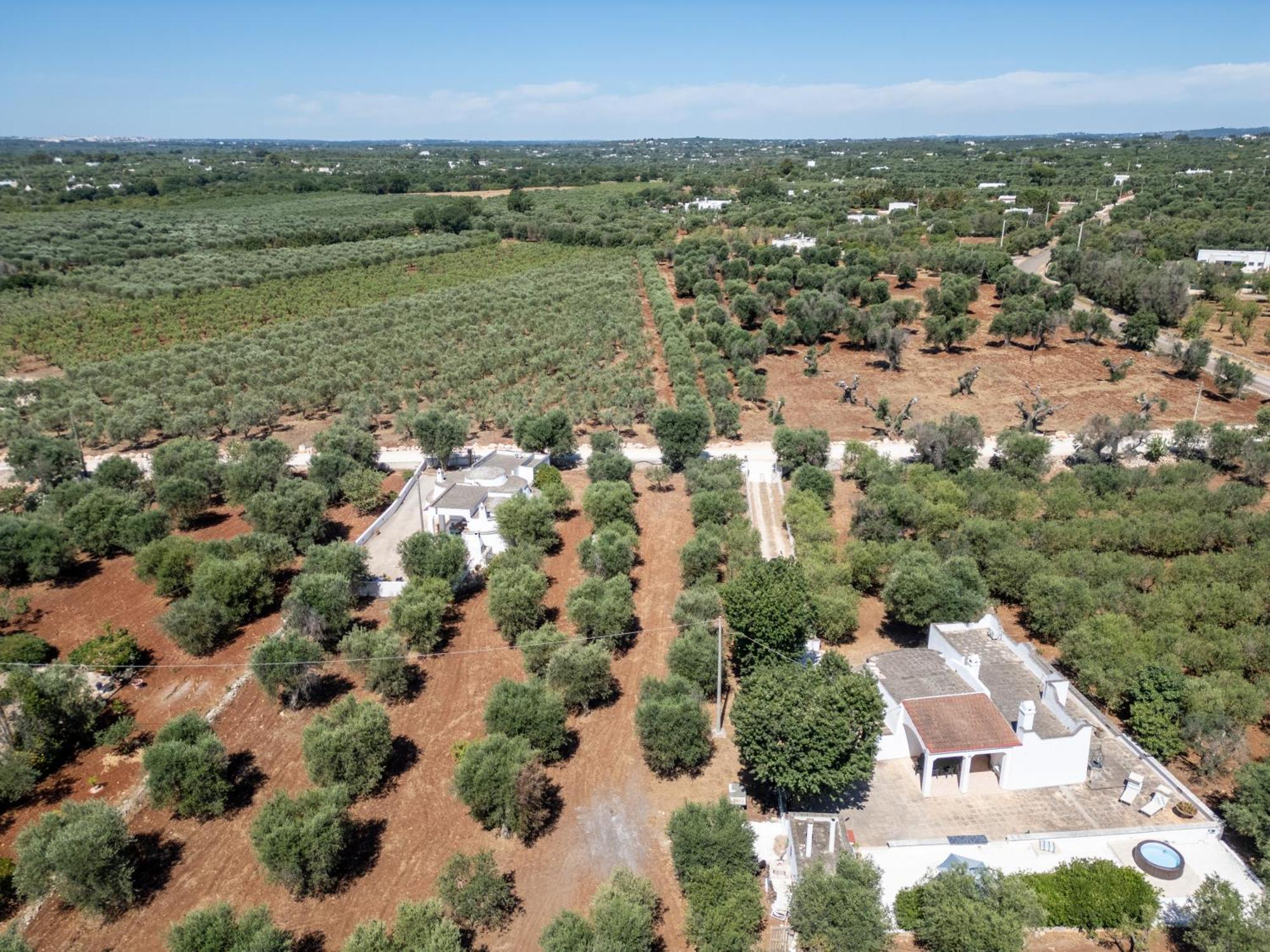 Вілла Trullo La Quercia Остуні Екстер'єр фото